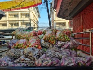 Humanitarian Support