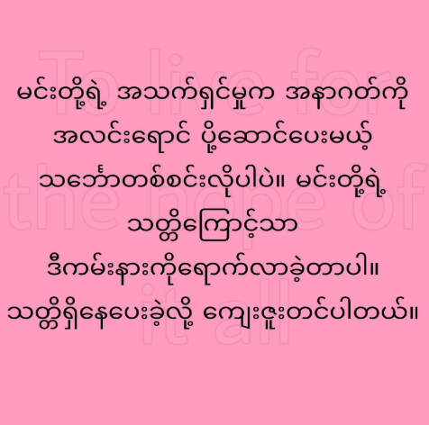 Screenshot 2026-02-03 233749